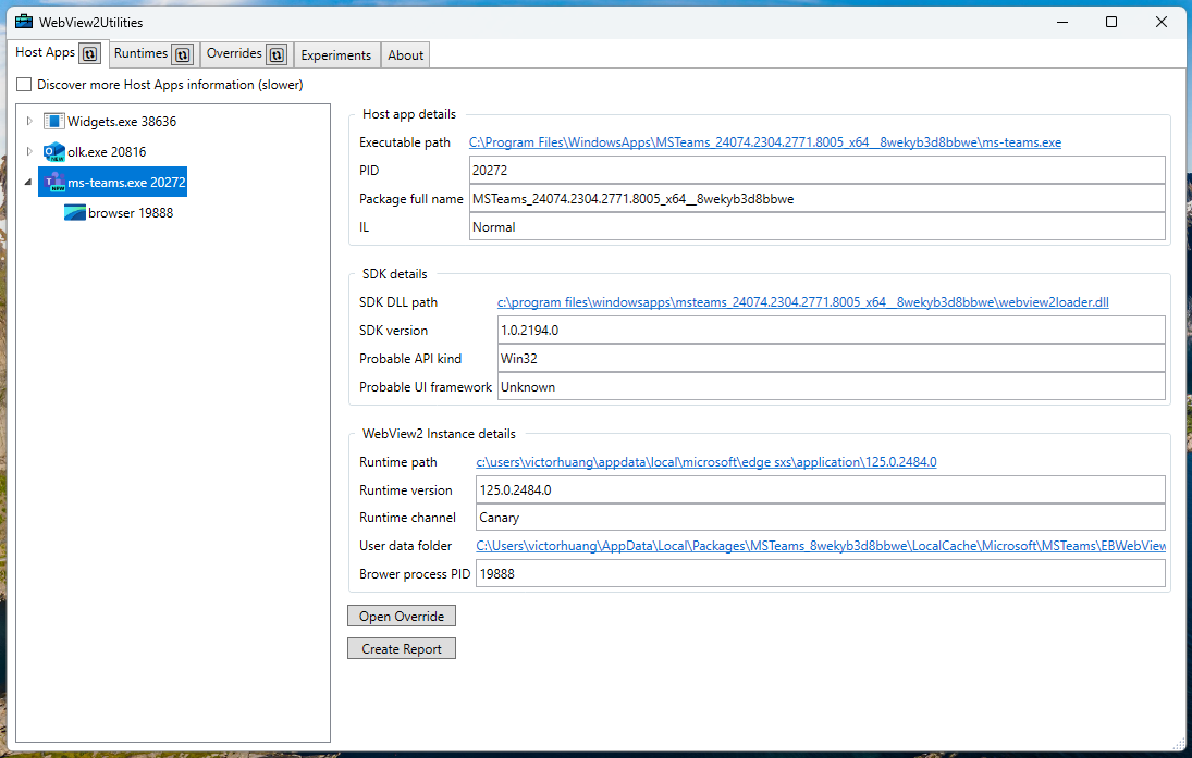 Screenshot of WebView2 Utilities
